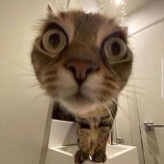 이영지 누나와 작업(Feat.이영지)