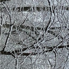 Miss You live - Fred Again... (80r Edit)