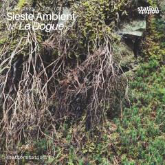Sieste Ambient #138 w/ Le Dogue