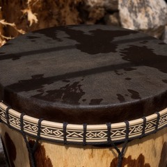 Wallmapu Ñi Ruka (La Casa del Territorio Mapuche)