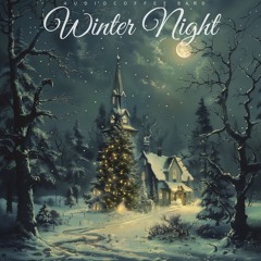 Winter Night Silent Night