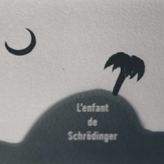 L'enfant de Schrödinger