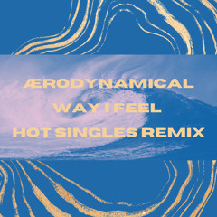 Way I Feel (Hot Singles Remix)