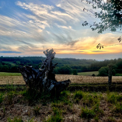 Samuel Quantin SunSet