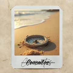 VLADY - CONCEITOS