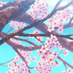 Sakuragaclari.m4a