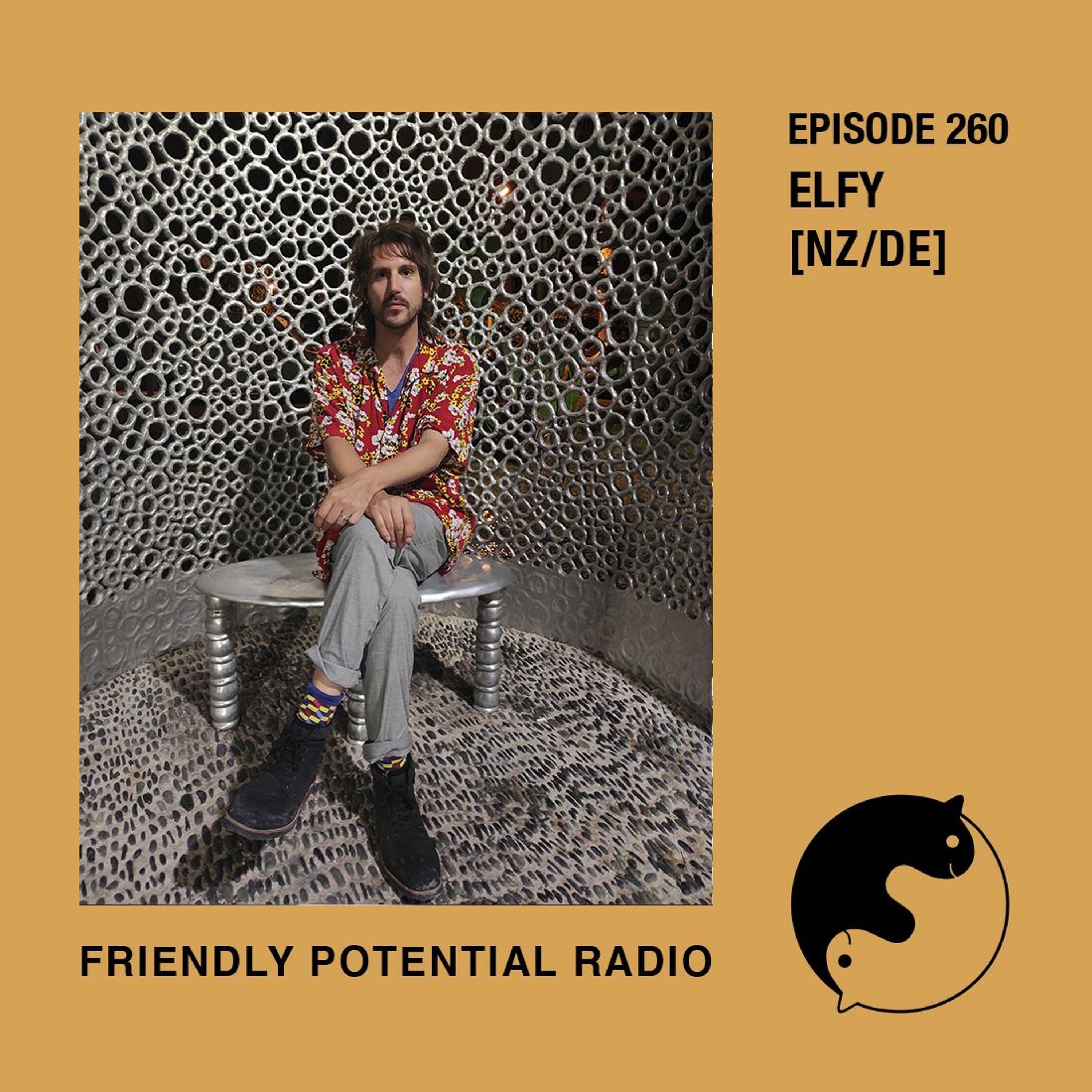 Friendly Potential Radio