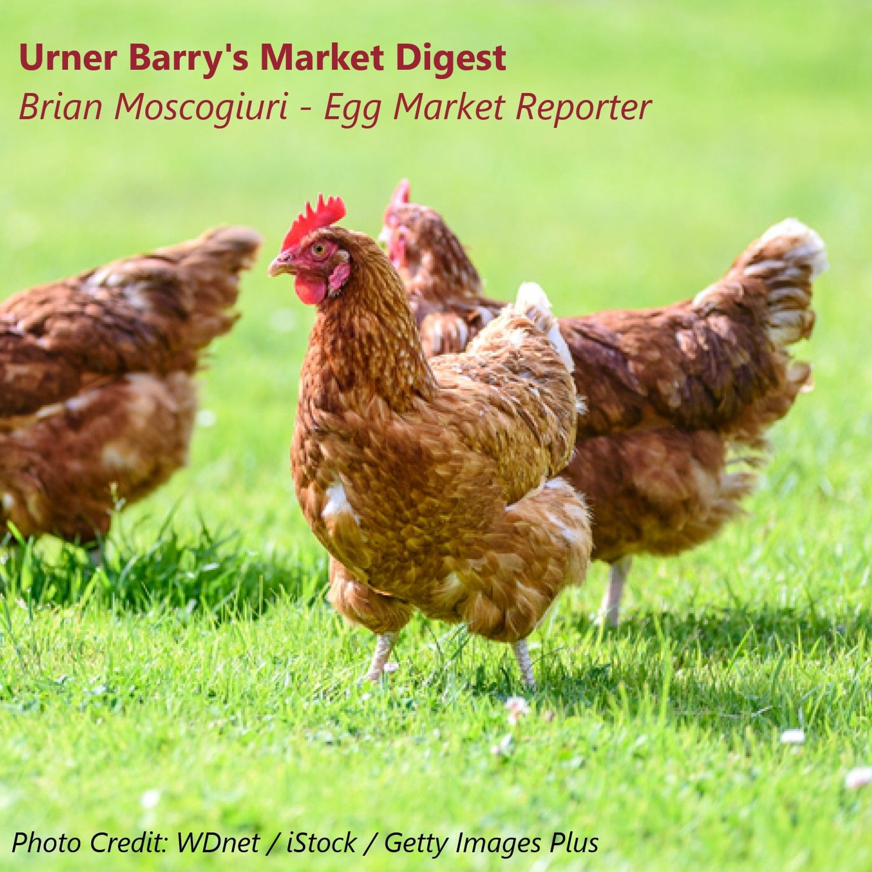 Urner Barry\'s Market Digest