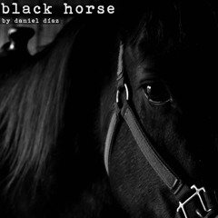 Black Horse (naviarhaiku358)