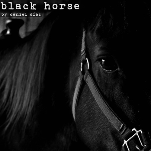 Black Horse (naviarhaiku358)