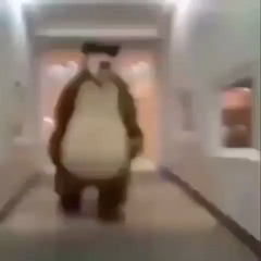 fdeddy favsbear