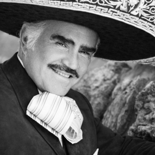 Vicente Fernandez Mix