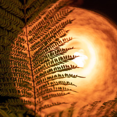 Mekan Akyaka Live  (23/06/2023)