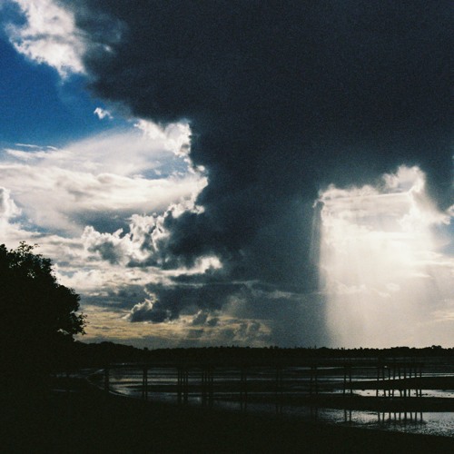 Gettin Zshuzshy With Guzshy