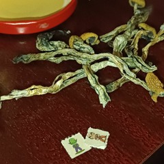 FVL-SUSTANCIASDEFAVELA