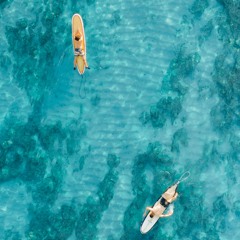 INSTINCT | Melodic Beat