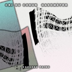 PREMIERE: Cri Du Coeur - Shelter (Kneaded Pains)