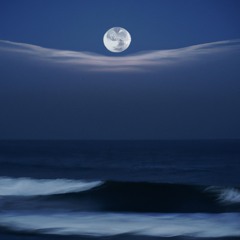 Moon Waves (disquiet0562)