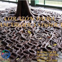 16. CORAZON DURO, AMARGURA SEGURA