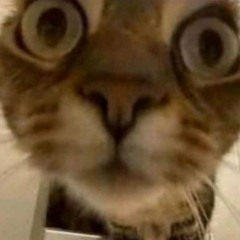 ksnyH 100 followers free music [{(FREE MUSIC]})+