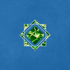 Prima Lux: Minds&machines