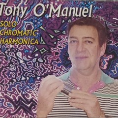 Iranaian Harmonica