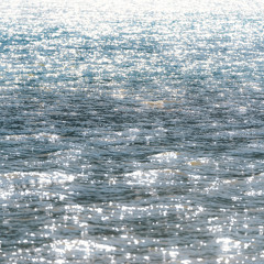 Gio(r)Gio at Aria Pura Festival