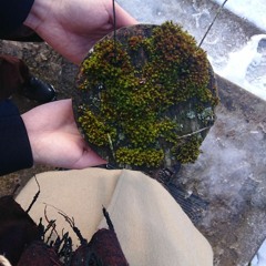 EILE SÜNDINUD . . .