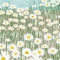Movements- Daylily (sped up)