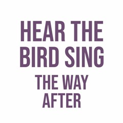 Hear The Bird Sing