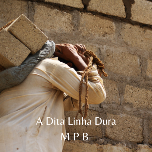 A Dita Linha Dura (1)
