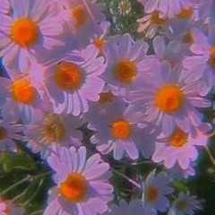 Spring Blossom (Prog mix) .v1