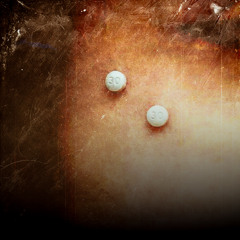 Perky prod. icymxncler