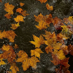 AUTUMN MAZE (Feat. FASTELL)