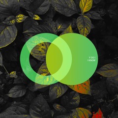 Premiere: Y do I "I Know" - Area Verde