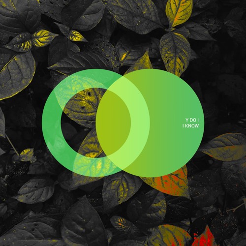 Premiere: Y do I "I Know" - Area Verde