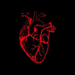 heart freestyle (prod. fivesevenn)