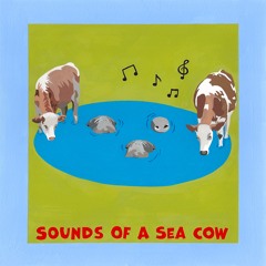 Sounds Of A Sea Cow