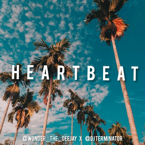 HEARTBEAT ( WONDER X DJ TERMINATOR)