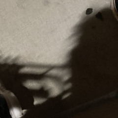 Rachy, unsquoled