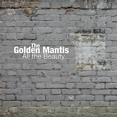 All The Beauty