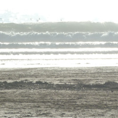 Low Tide