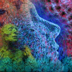 Midlife Acid