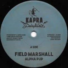 Alpha Pup - Field Marshall & Dennis Capra - Kung Fu