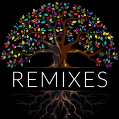 Remixes