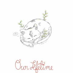 Our Lifetime