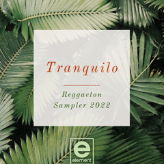 Tranquilo Reggaeton Sampler 2022