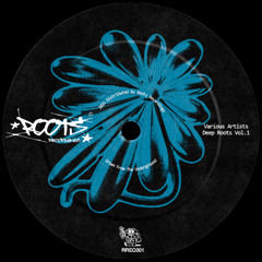 Gio Lucca & Julio Bravo - Perfect [Roots Recordings]