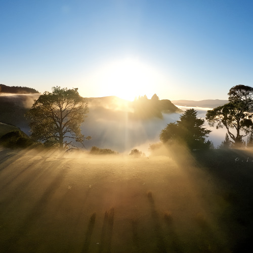 You'll Take The Light From Me