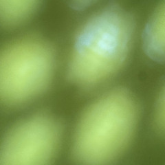 DA rare podcast. Xmass REC-2025-12-25